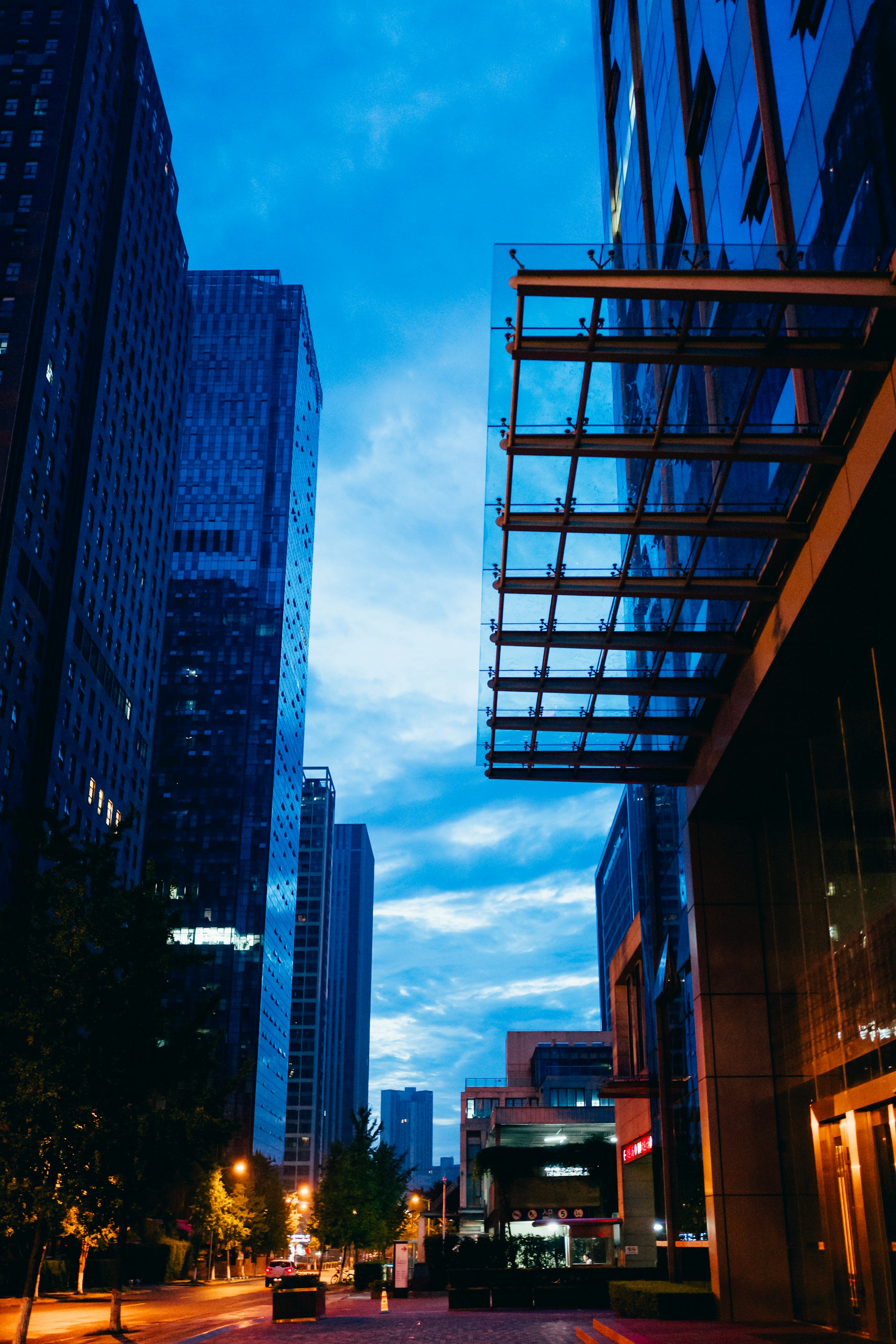 xingchen-yan-tOartkcYiT0-unsplash